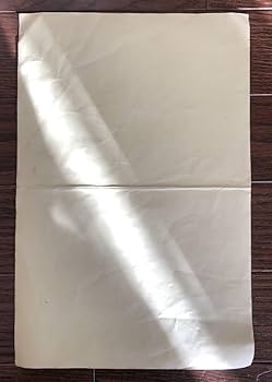 Amazon.co.jp: レトロ約30×20cm中山美穂ミポリンビッグ